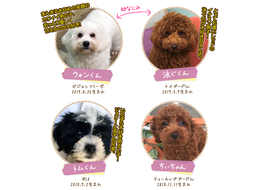 犬カフェ ペットスペースミルク