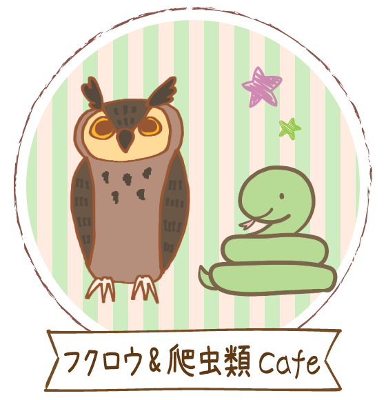 エキゾチックカフェ