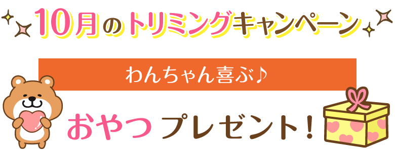 10月キャンペーン