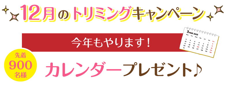 12月キャンペーン